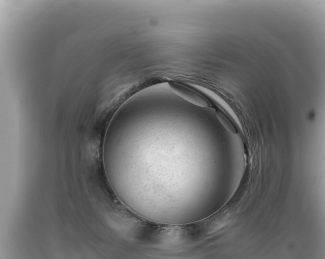 X0000089350127200706221146
