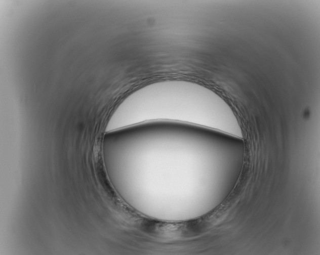 X0000089350129200706221146