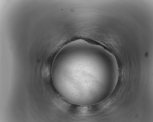 X0000089350131200706221146
