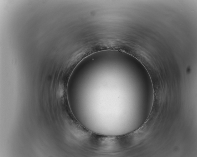 X0000089350132200706221146