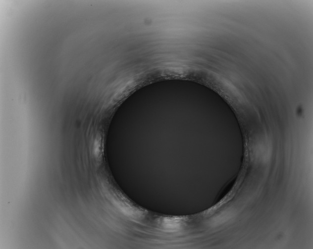 X0000089350134200706221146