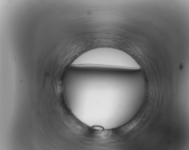 X0000089350135200706221146