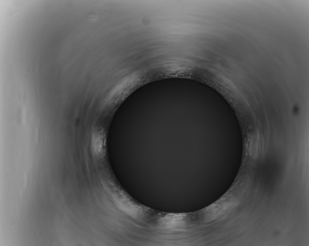 X0000089350138200706221146