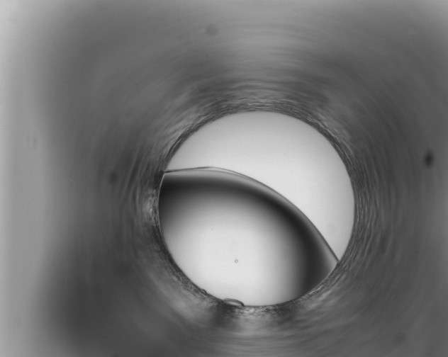 X0000089350141200706221146