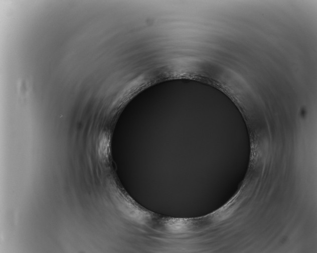 X0000089350142200706221146
