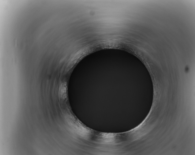 X0000089350144200706221146