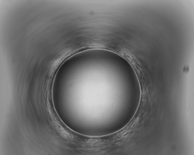 X0000089350145200706221145