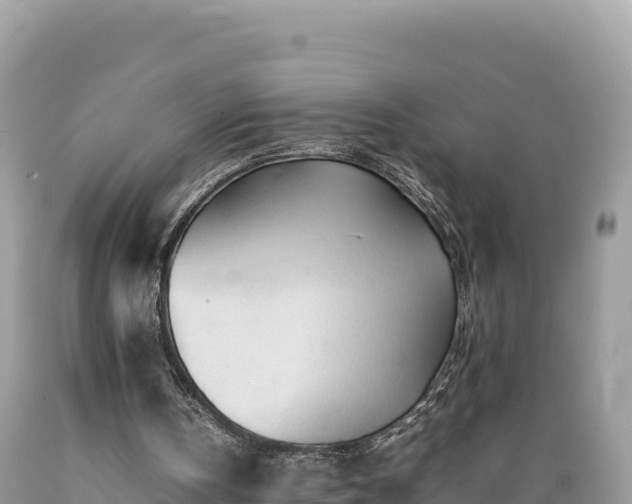 X0000089350146200706221145