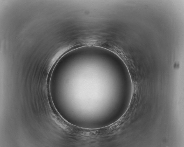 X0000089350147200706221145