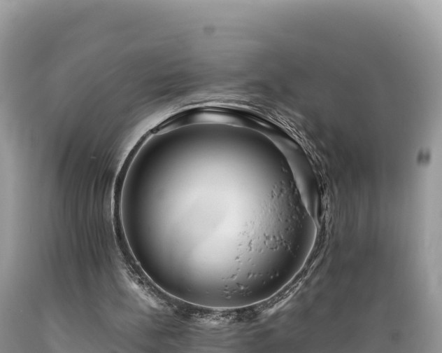 X0000089350148200706221145