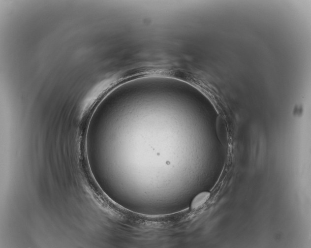 X0000089350149200706221145