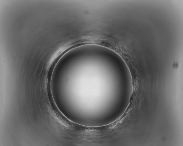 X0000089350150200706221145