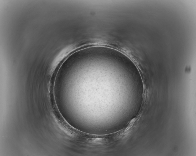 X0000089350151200706221146