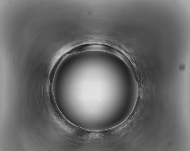 X0000089350152200706221146