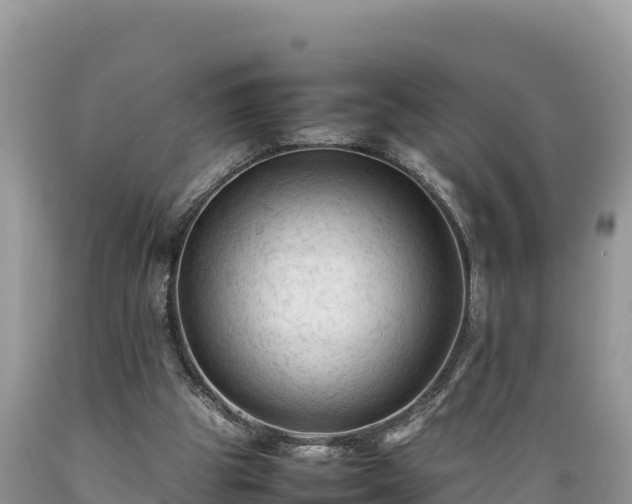 X0000089350153200706221146