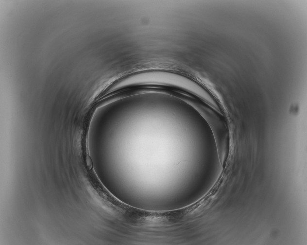 X0000089350154200706221146