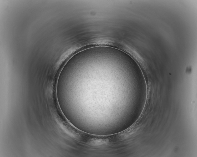 X0000089350155200706221146