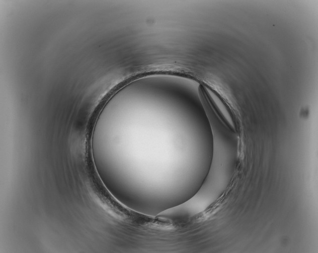 X0000089350156200706221146
