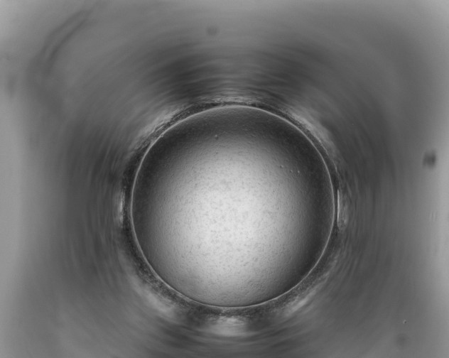 X0000089350157200706221146