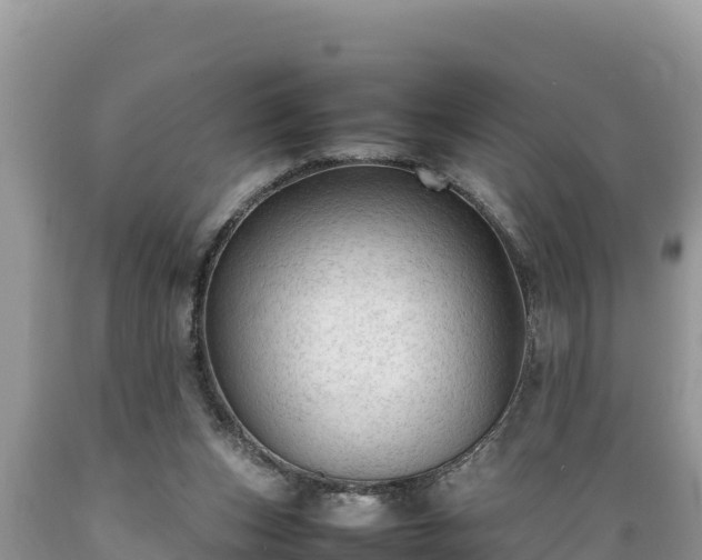 X0000089350159200706221146