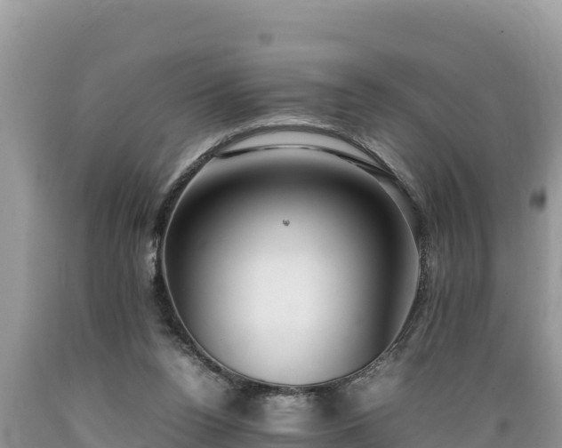 X0000089350160200706221146