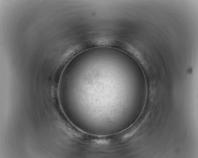 X0000089350161200706221146