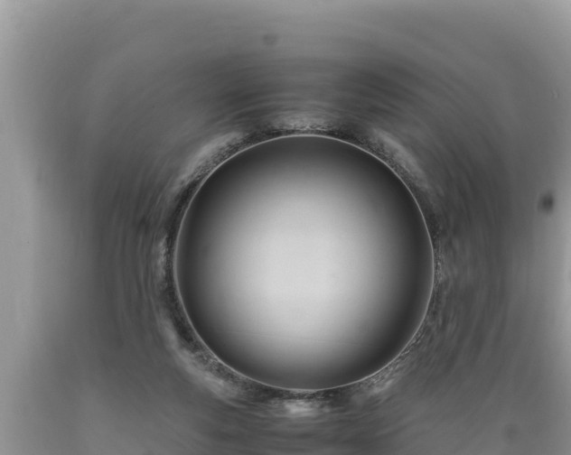 X0000089350163200706221146