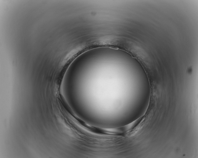 X0000089350164200706221146