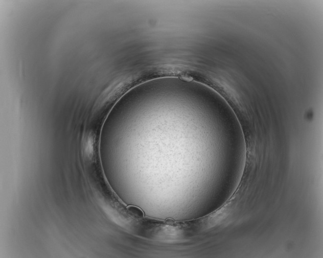 X0000089350166200706221146