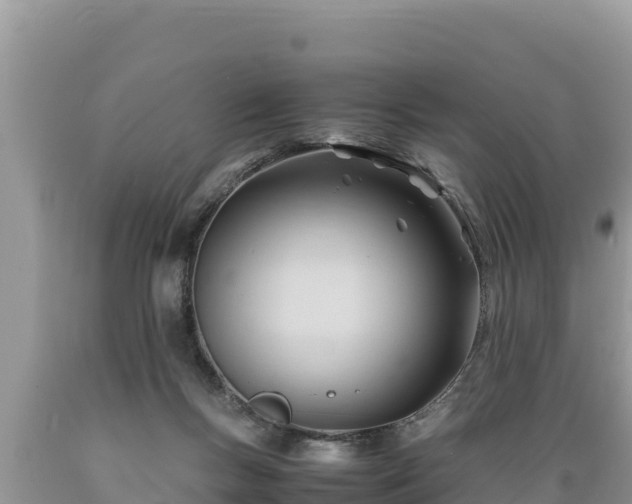 X0000089350167200706221146