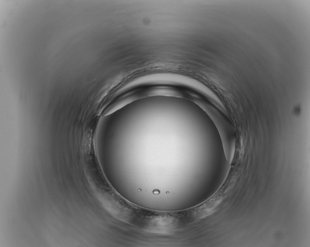 X0000089350168200706221146