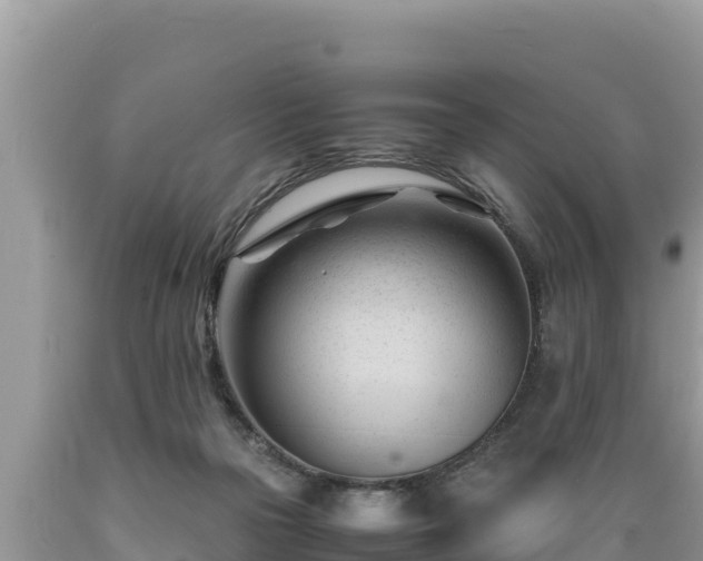X0000089350169200706221146