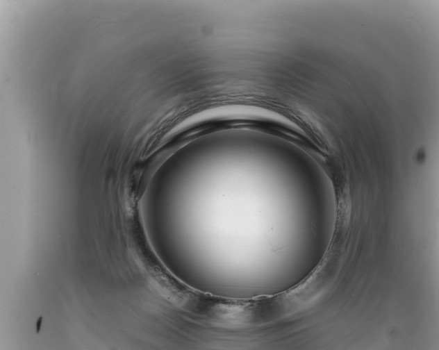 X0000089350170200706221146