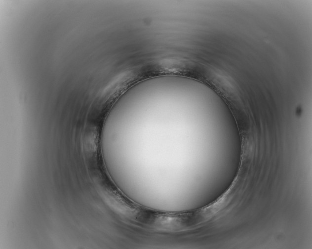 X0000089350174200706221146