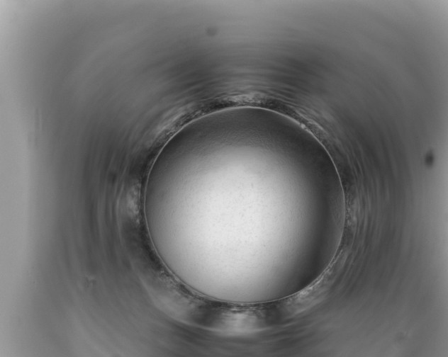 X0000089350175200706221146