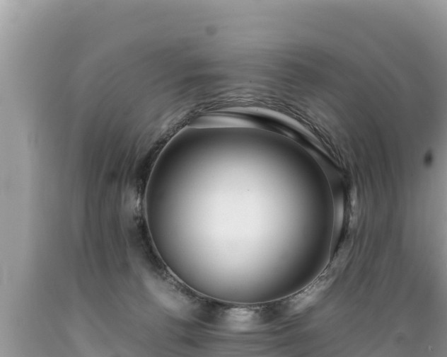 X0000089350176200706221146