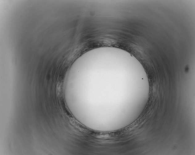 X0000089350177200706221146