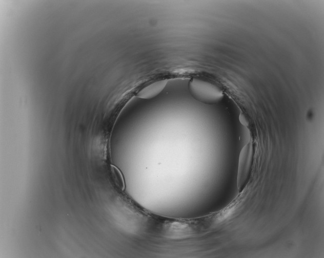 X0000089350180200706221146