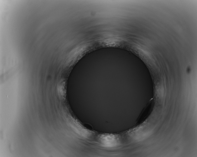 X0000089350181200706221146