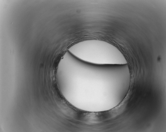 X0000089350182200706221146