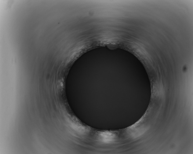 X0000089350183200706221146