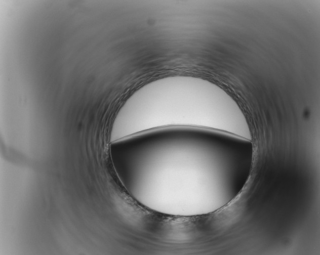 X0000089350186200706221146