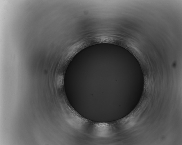 X0000089350189200706221146