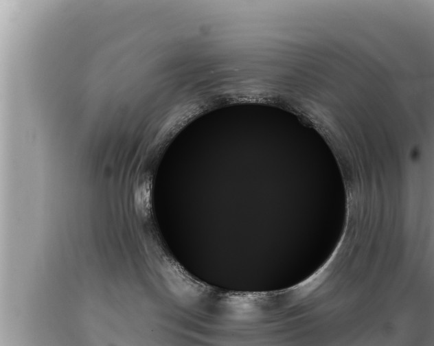 X0000089350190200706221146