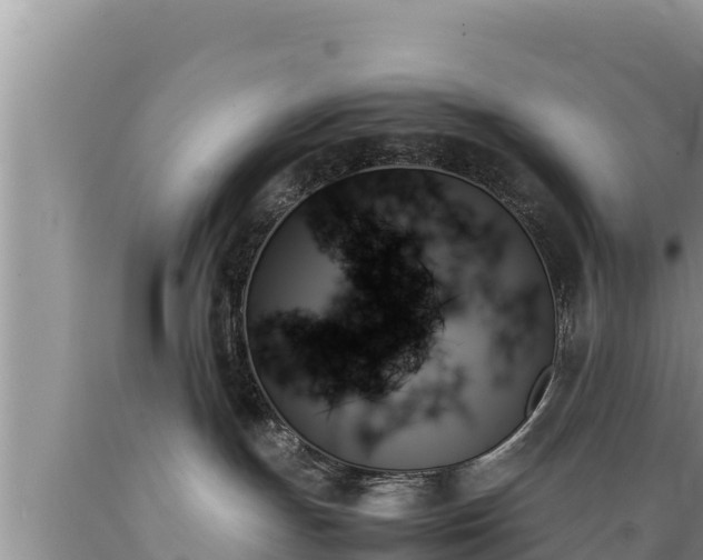 X0000089350191200706221146