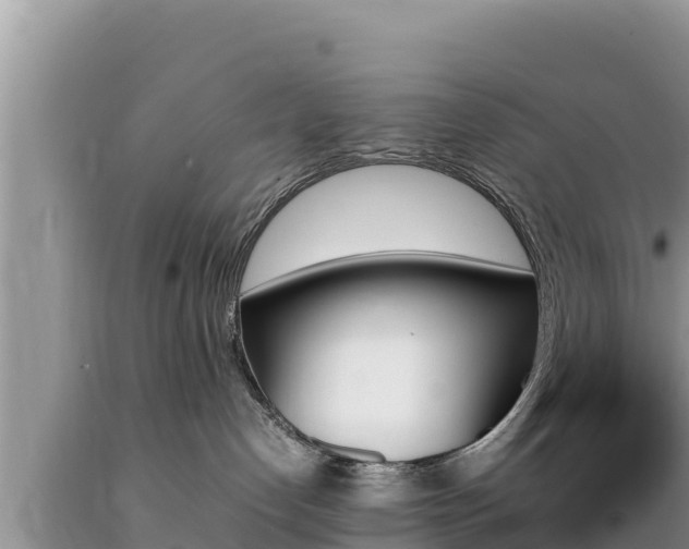 X0000089350192200706221146