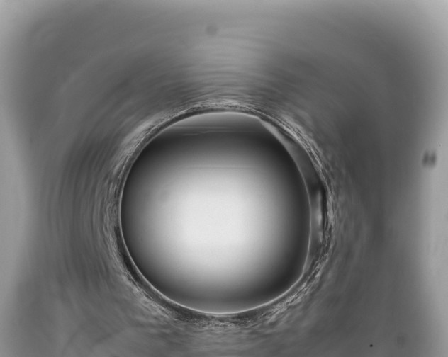 X0000089350193200706221145