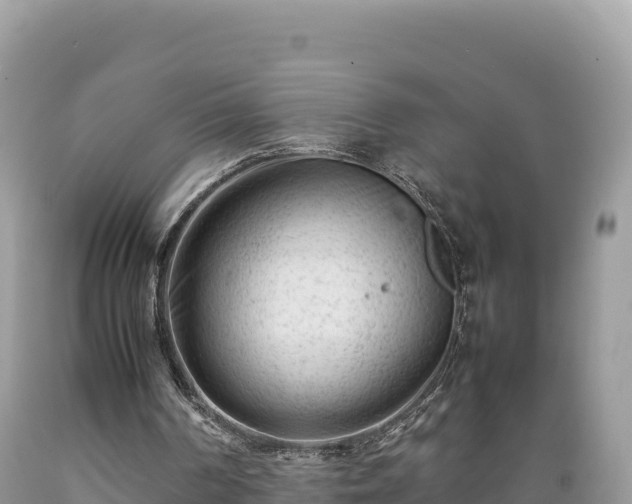 X0000089350194200706221145