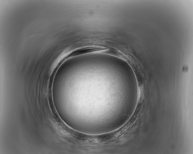 X0000089350195200706221145
