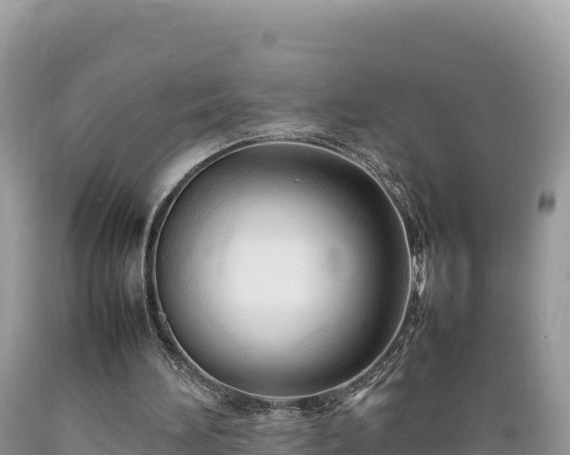 X0000089350196200706221145